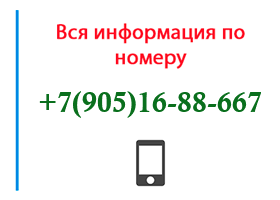 Номер 9051688667 - оператор, регион и другая информация