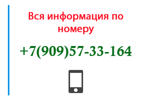 Номер 9095733164 - оператор, регион и другая информация