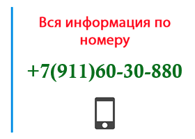 Номер 9116030880 - оператор, регион и другая информация