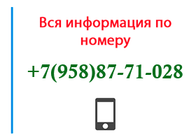 Номер 9588771028 - оператор, регион и другая информация