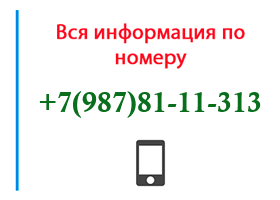 Номер 9878111313 - оператор, регион и другая информация