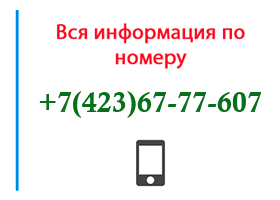 Номер 4236777607 - оператор, регион и другая информация