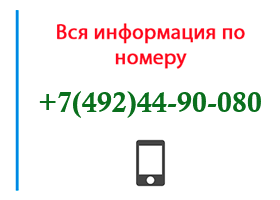 Номер 4924490080 - оператор, регион и другая информация