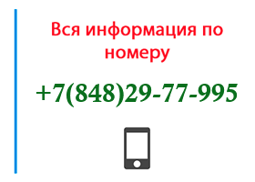 Номер 8482977995 - оператор, регион и другая информация