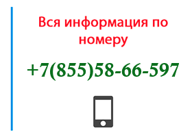 Номер 8555866597 - оператор, регион и другая информация