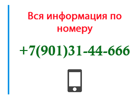 Номер 9013144666 - оператор, регион и другая информация