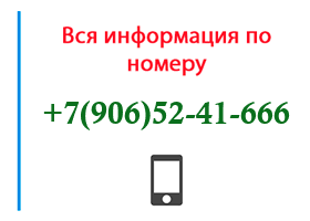 Номер 9065241666 - оператор, регион и другая информация