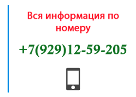 Номер 9291259205 - оператор, регион и другая информация