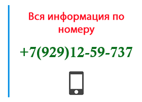 Номер 9291259737 - оператор, регион и другая информация