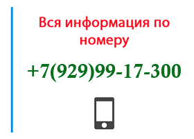 Номер 9299917300 - оператор, регион и другая информация