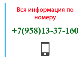 Номер 9581337160 - оператор, регион и другая информация