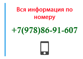 Номер 9788691607 - оператор, регион и другая информация