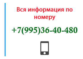 Номер 9953640480 - оператор, регион и другая информация