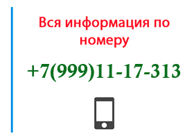 Номер 9991117313 - оператор, регион и другая информация